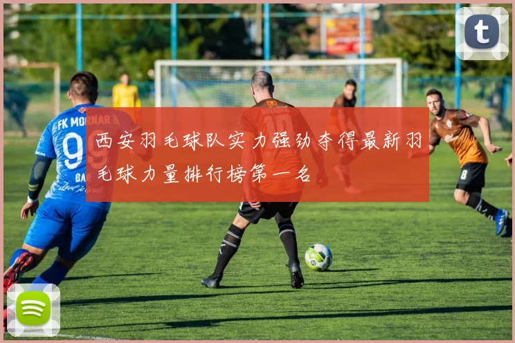 西安羽毛球队实力强劲夺得最新羽毛球力量排行榜第一名