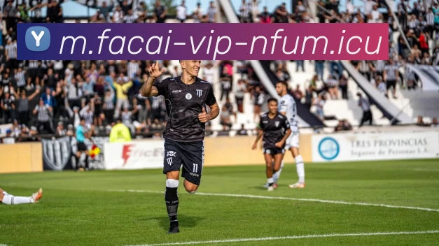 App Interface Preview