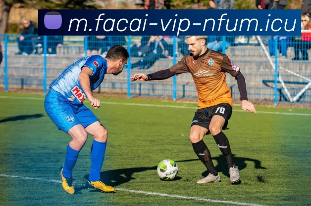 九游体育注册APP 封面图